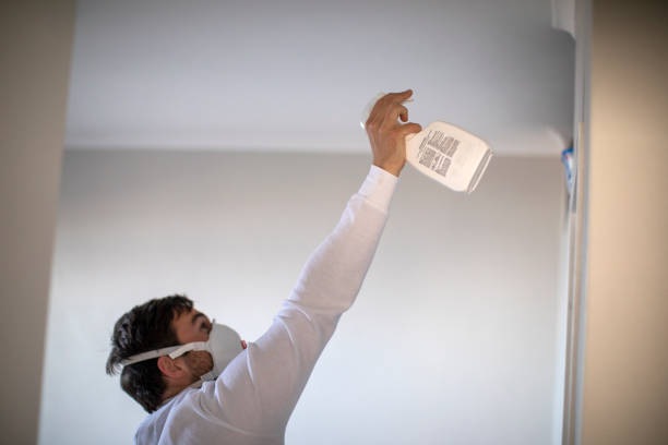 Best Residential Mold Removal  in Ramapo College Of New Jersey, NJ
