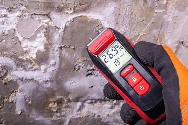 Best Mold Remediation  in Ramapo College Of New Jersey, NJ