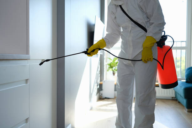 Best Crawl Space Mold Removal  in Ramapo College Of New Jersey, NJ