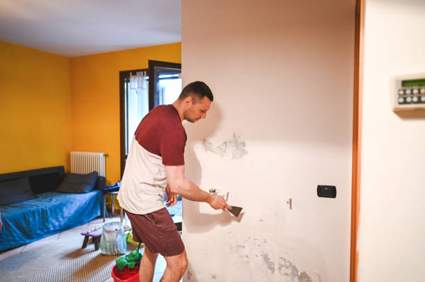 Best Toxic Mold Removal  in Ramapo College Of New Jersey, NJ