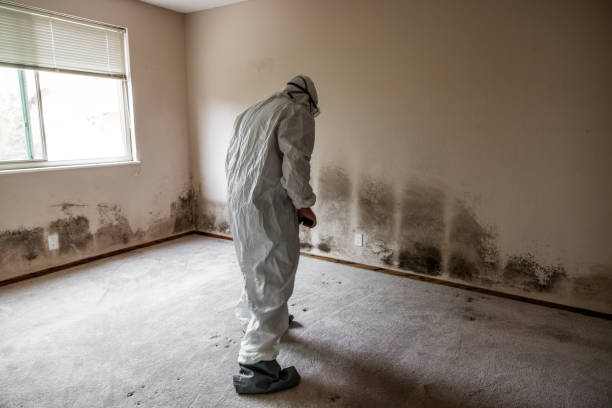 Water Damage Restoration in Ramapo College Of New Jersey, NJ